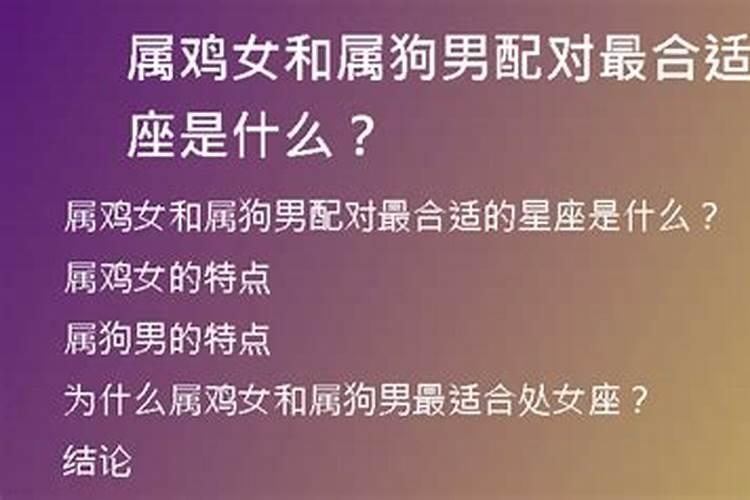 属狗男的和什么婚配最合适