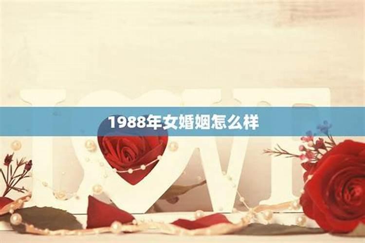 88年男86年女八字合婚