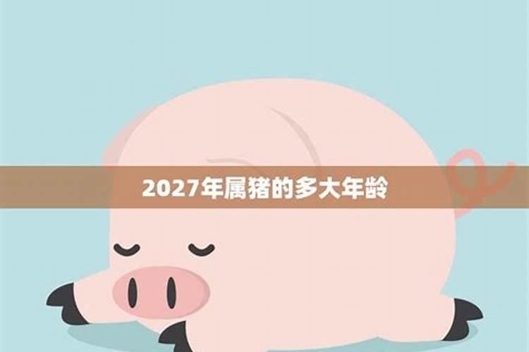 2027年属猪人的全年运势详解