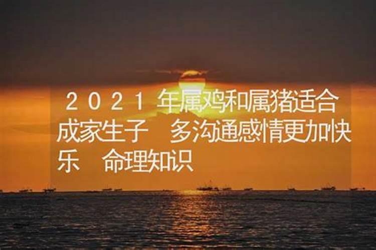 属鸡和属猪2023年运势