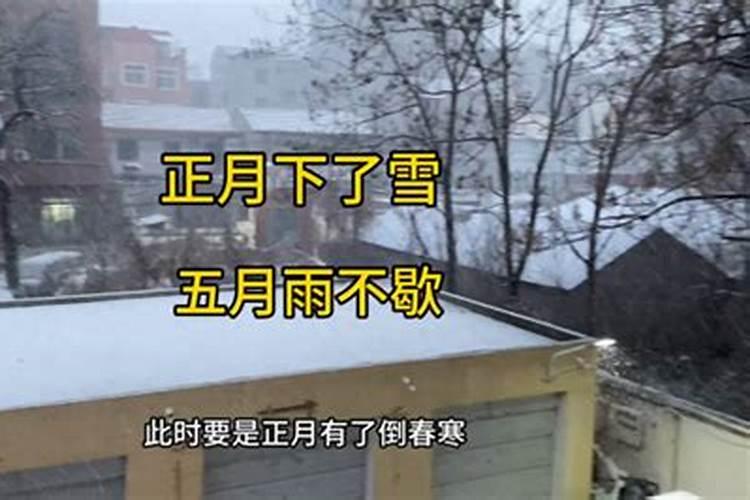 哪年的正月初一下大雪了