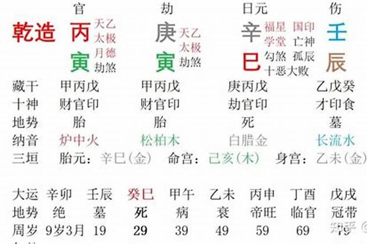 辛巳日柱的八字案例