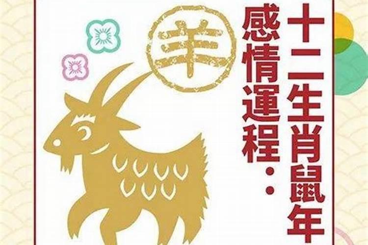 鼠年属猪运势2020年运势