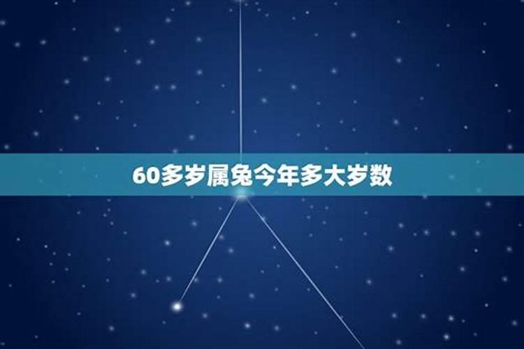 属兔今年多大岁数2021年