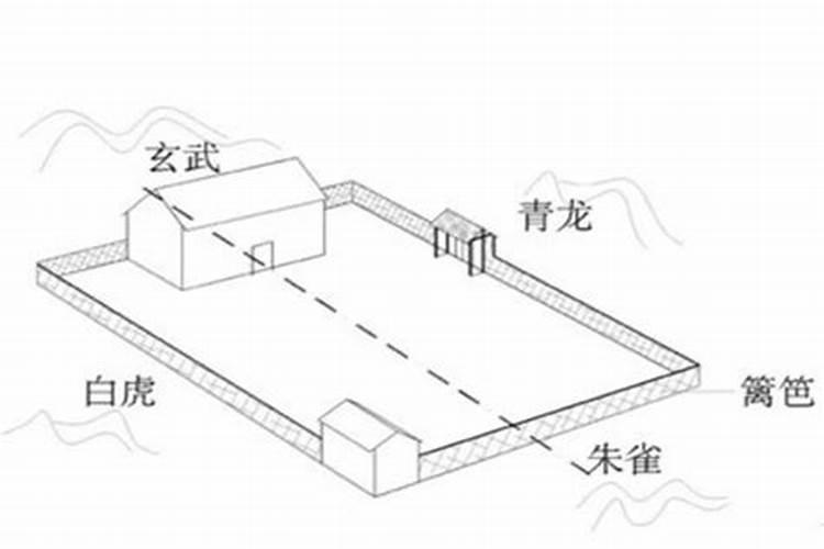 98年属虎女12月份运势怎么样呀视频