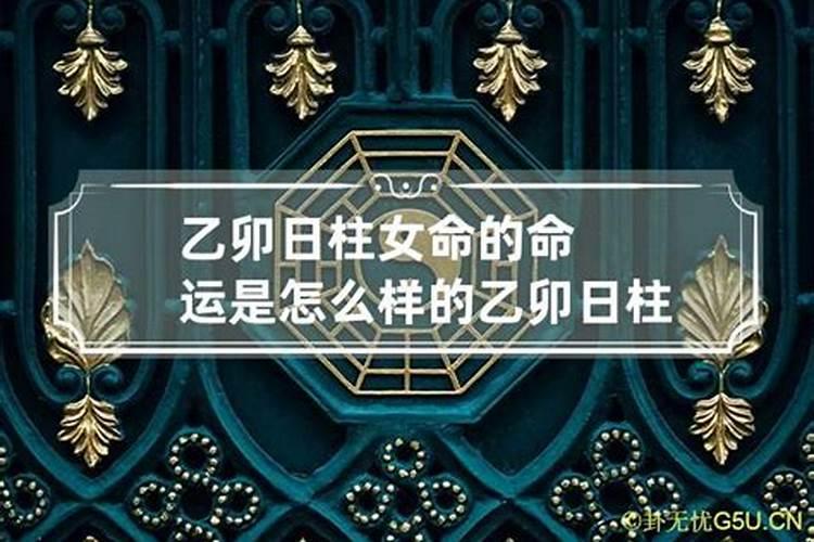 乙卯日柱属什么命