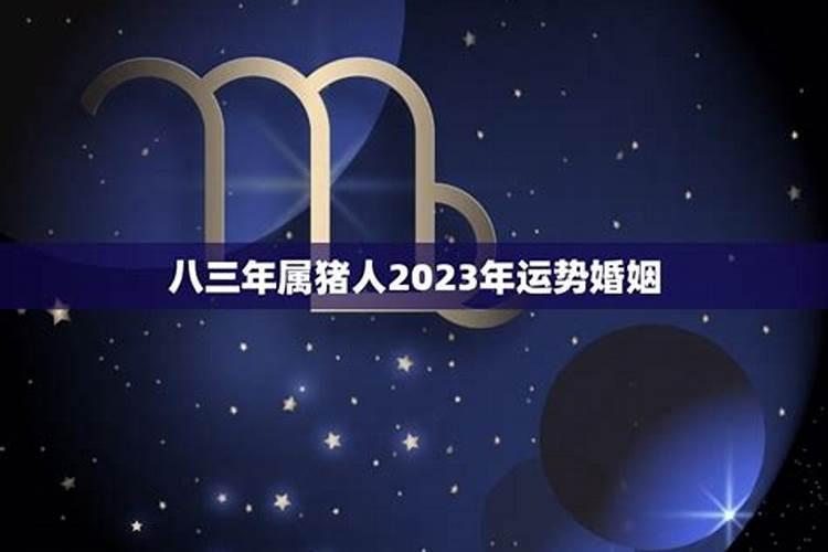 八三年属猪人2021年运势