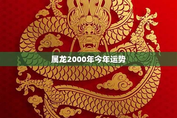 属龙31岁今年运势