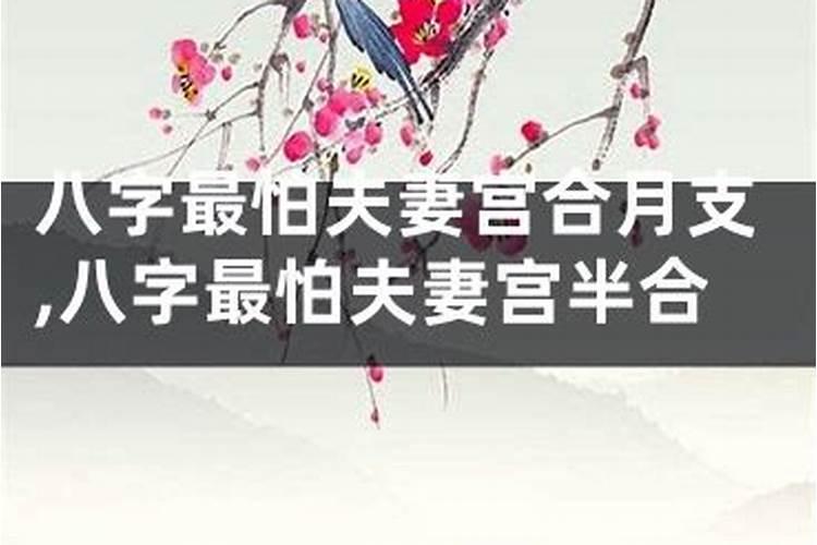 八字半合财星财运好吗