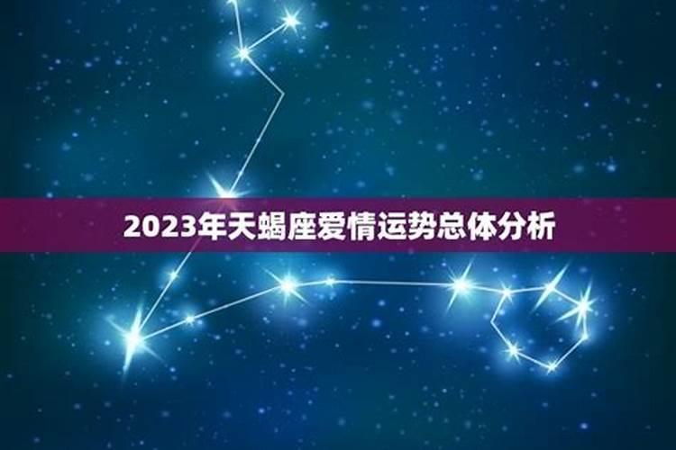 2023年天蝎座女生全年运势如何呢