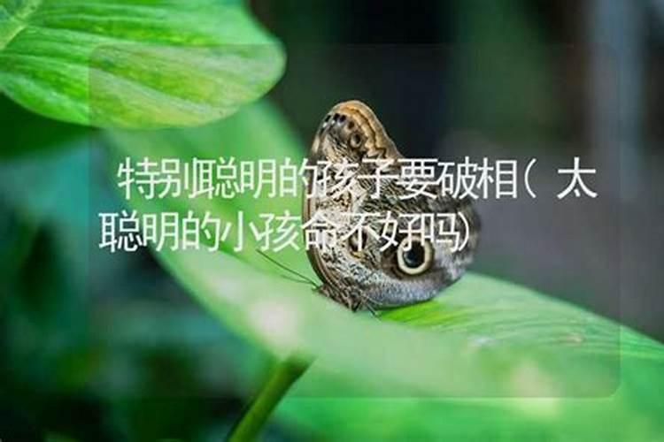 算命说我要破相什么意思