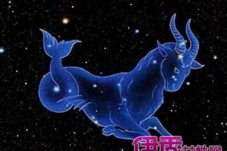 属猪魔蝎男性格特点