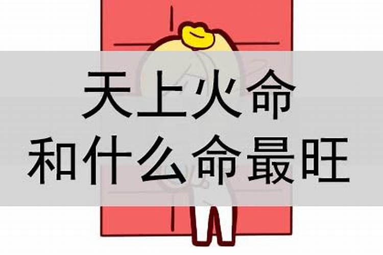 沙中土和火命合不合