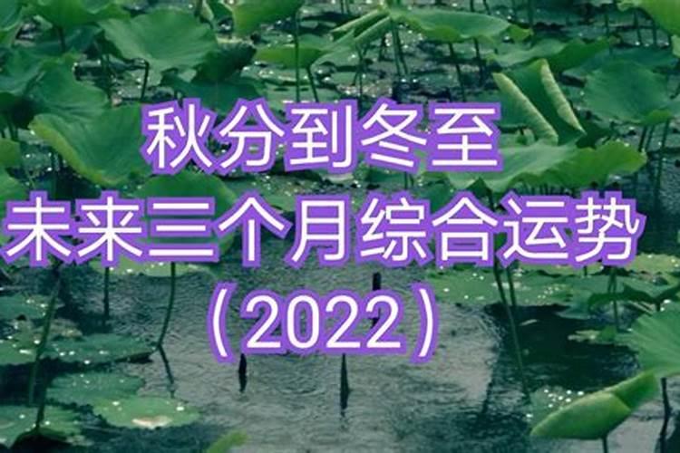 2023年属年属牛的运势运程如何