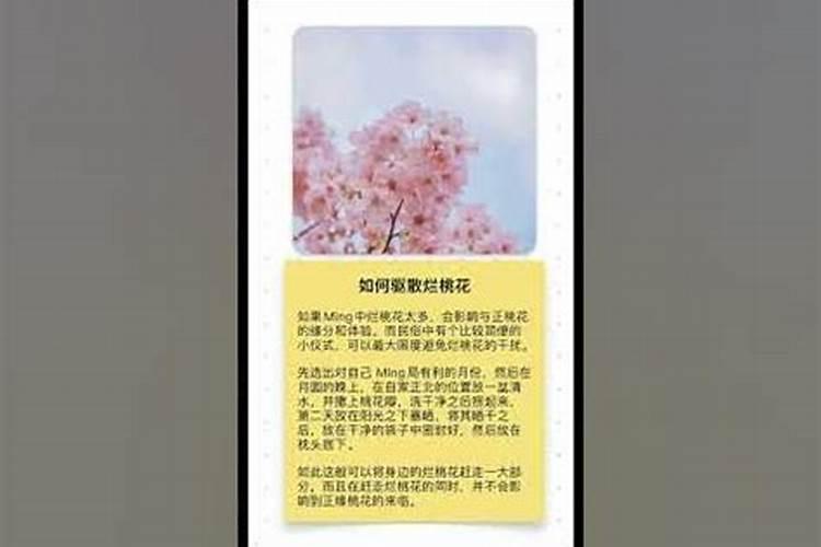 怎么消烂桃花