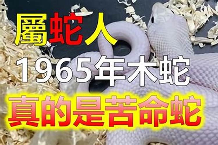 72年七月属鼠2024年的运程