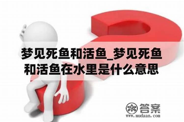 已婚女人梦见死鱼变活鱼什么预兆