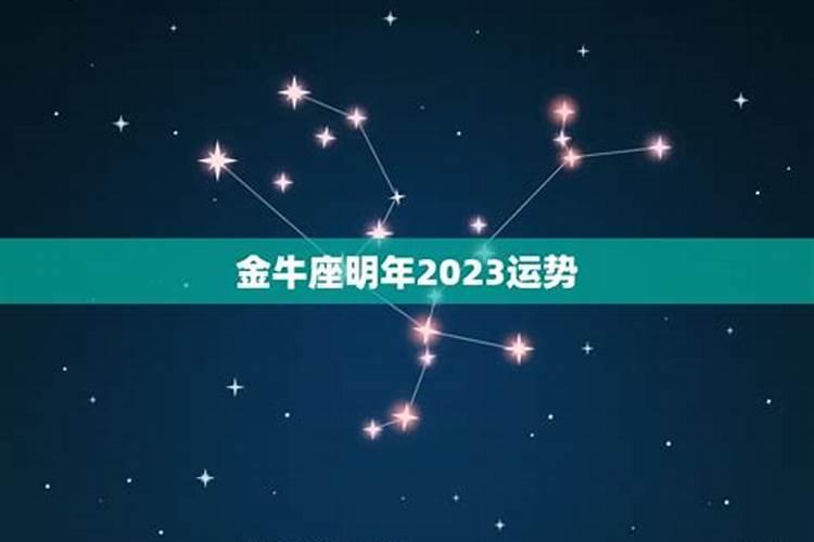 2023年金牛座