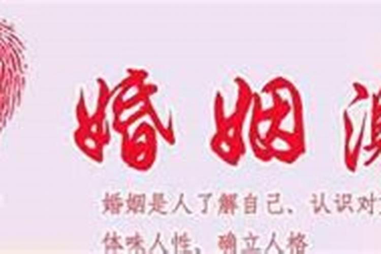 看女命八字