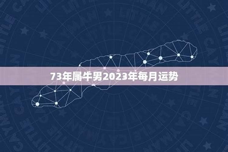 73年属牛男2023年下半年运势及运程