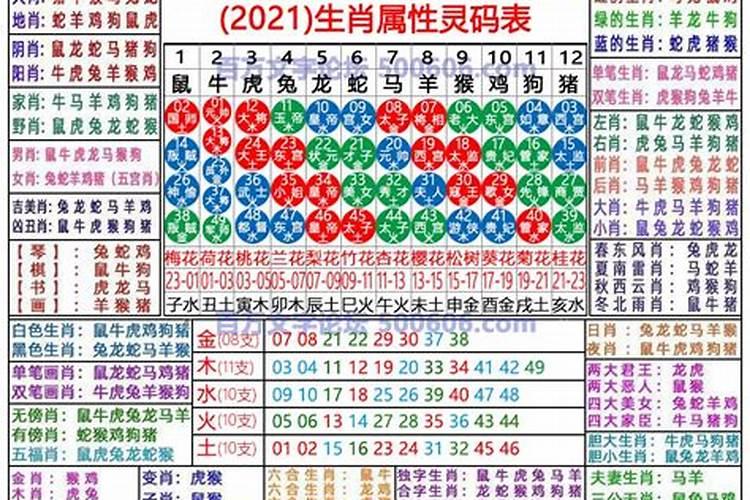 属相2024