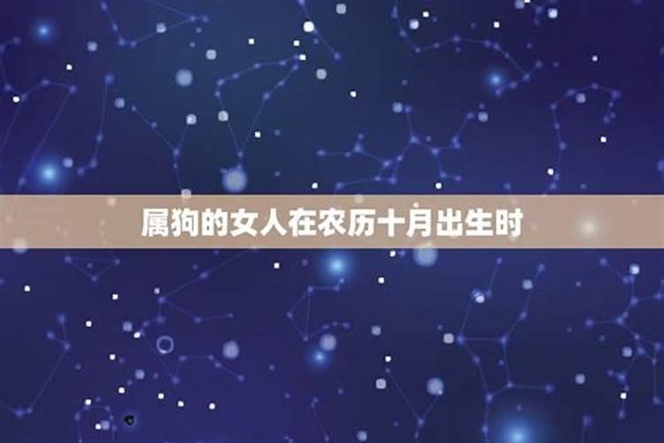 94年和97年属相相合吗,94年属狗女和97年属牛男相配吗