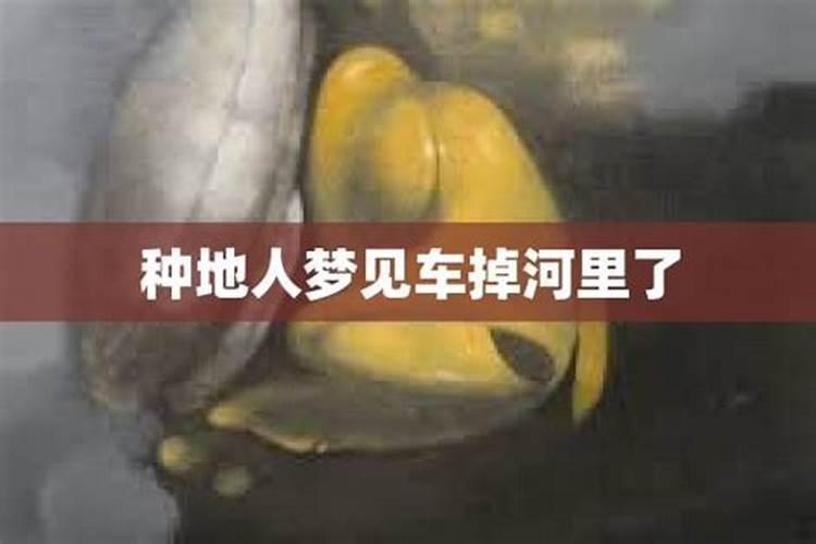 梦见自己骑电动车掉进河里