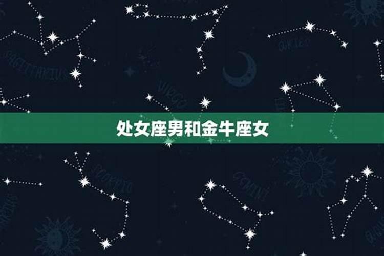 喜欢闪婚的生肖男是什么星座