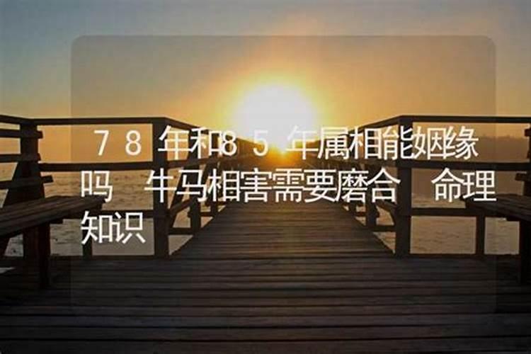 73年的和78年的合婚吗