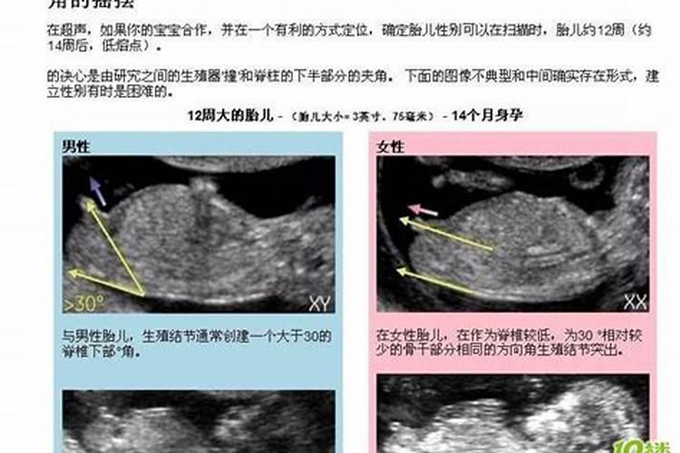 冲太岁注意点什么