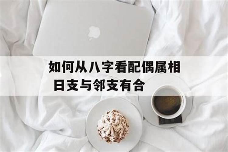 怎么看日支和月支合不合