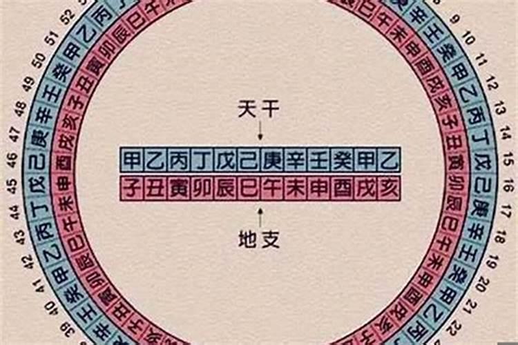 今年本命年是什么？