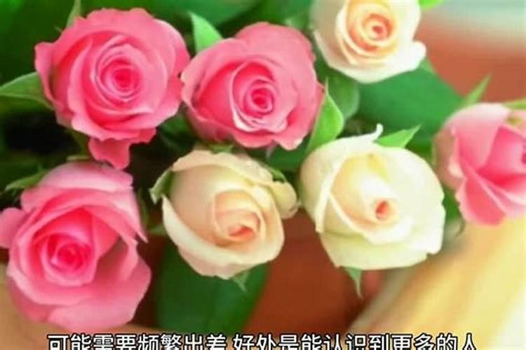 属鸡的白羊座女生今年运势如何