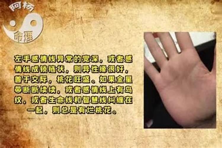 属性不合八字合可以结婚吗