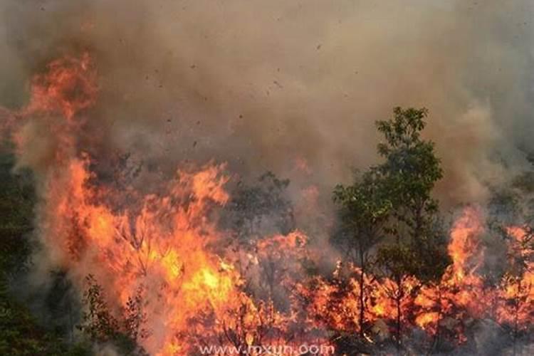 梦见隔壁小区失火了什么预兆