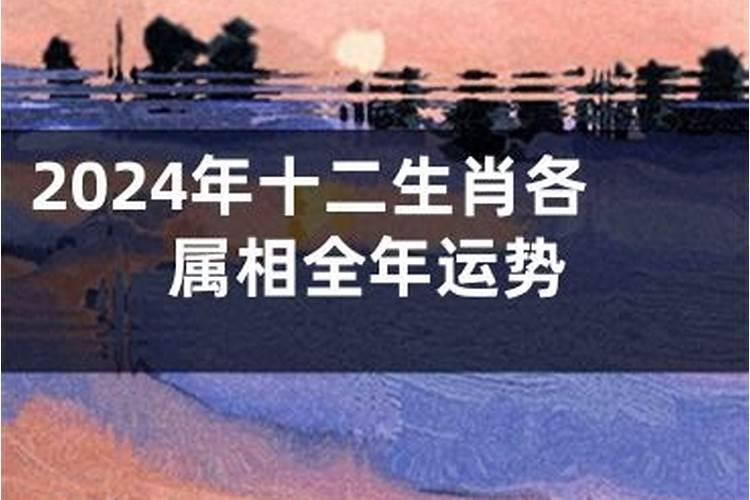 1987年兔在2024年运势