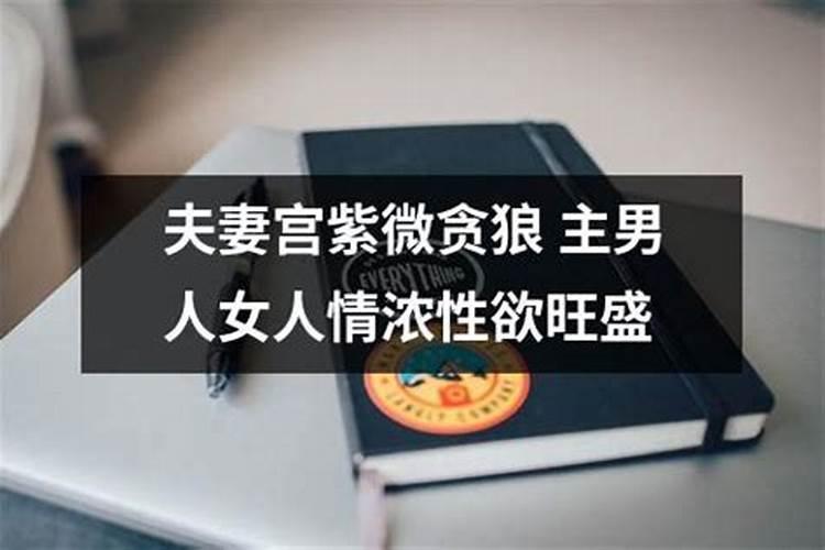 紫微斗数恋爱算婚姻吗