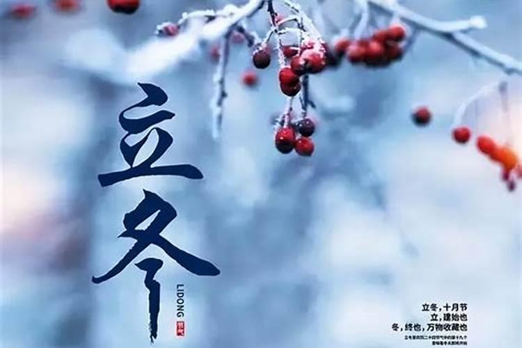 属狗今年运势八月份