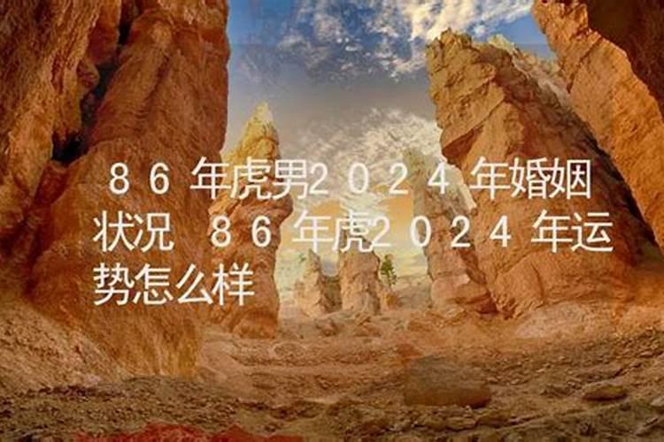 86年虎2024年运势怎么样