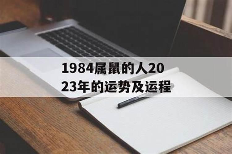 名字测运势2023年运势查询结果