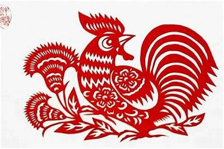 属猪与属鸡今年犯什么太岁