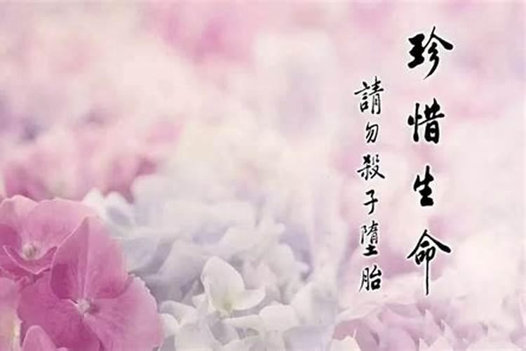 婚配属什么属相最好