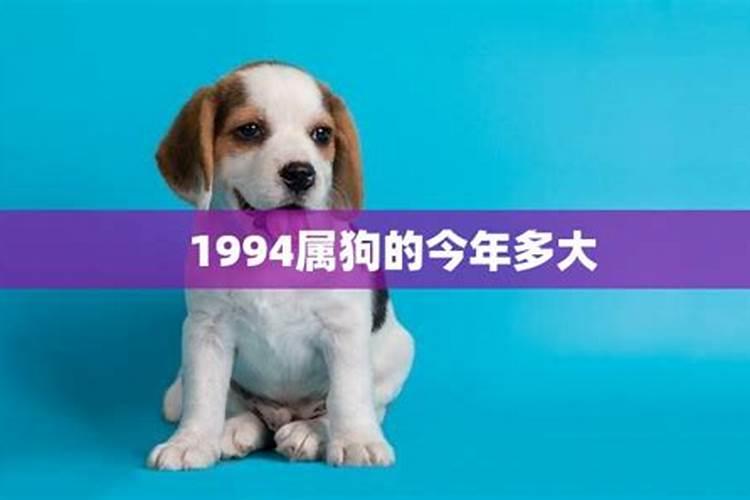 属狗1994的今年多少岁