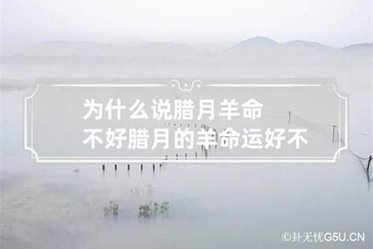 为什么腊月的羊命不好