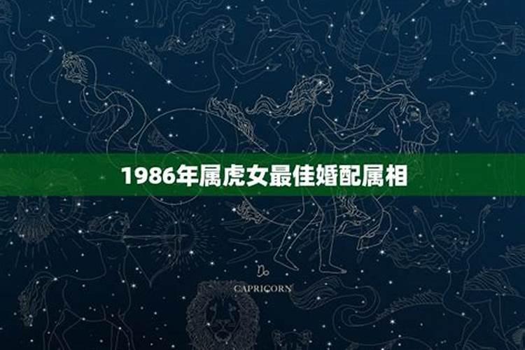 属相婚配1986年属什么