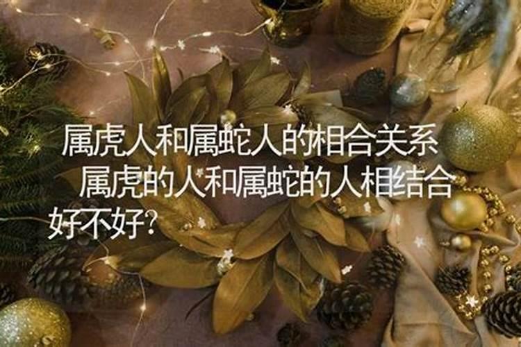 龙马姻缘相结合好不好