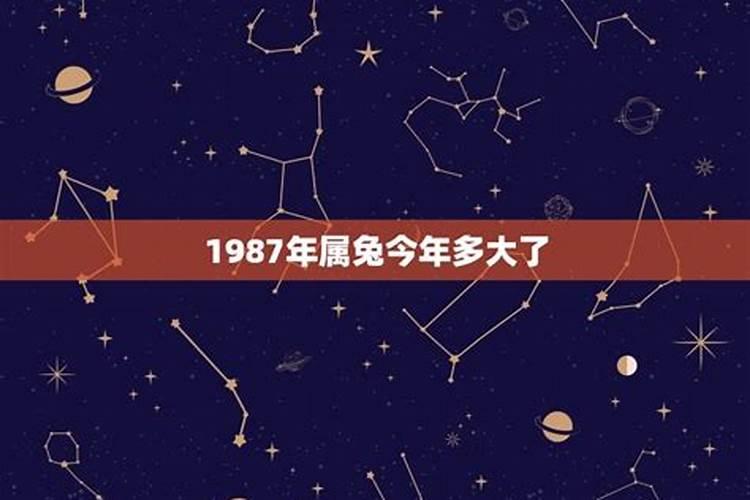 1987属兔的今年多大年龄