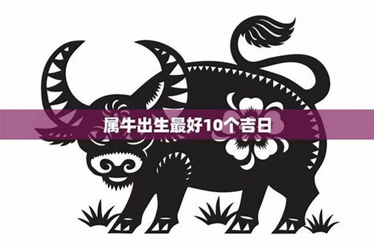 属牛的女孩2021年9.5号适合定提车吗