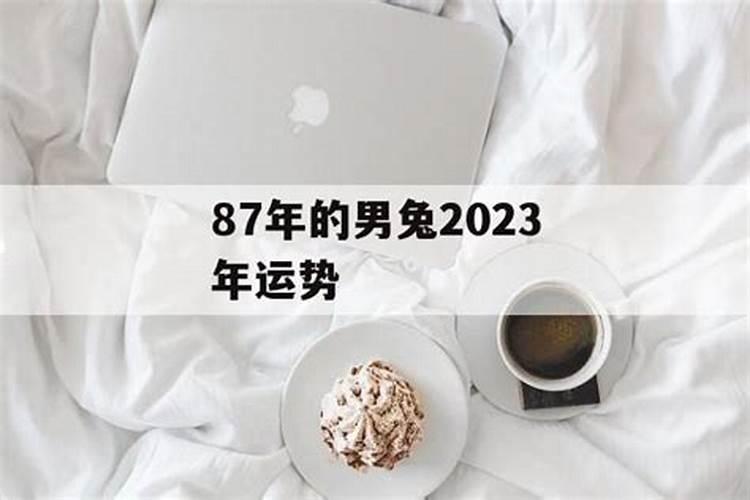 87年男性哪年运势好点