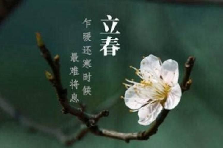 明年虎年本命年顺吗